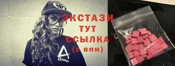 СК Алексин