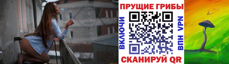 OMG   Таштагол  Галлюциногенные грибы мицелий 